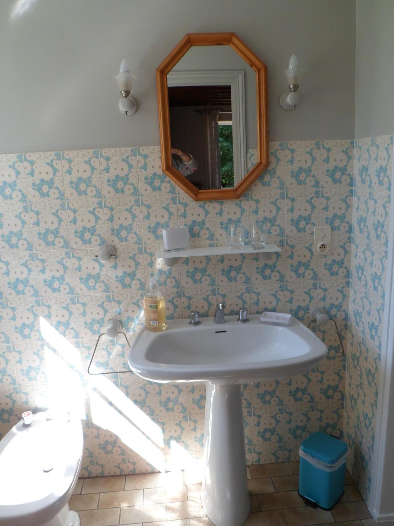 Domaine De La Helliere Hotel Lailly-en-Val Room photo