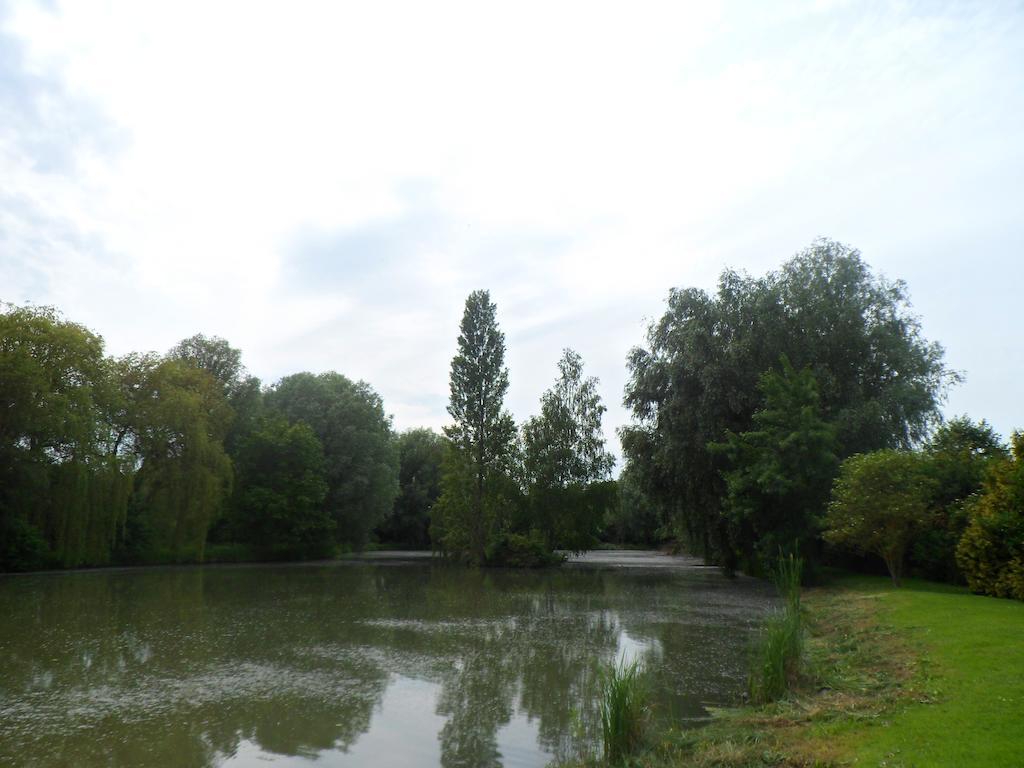 Domaine De La Helliere Hotel Lailly-en-Val Exterior photo